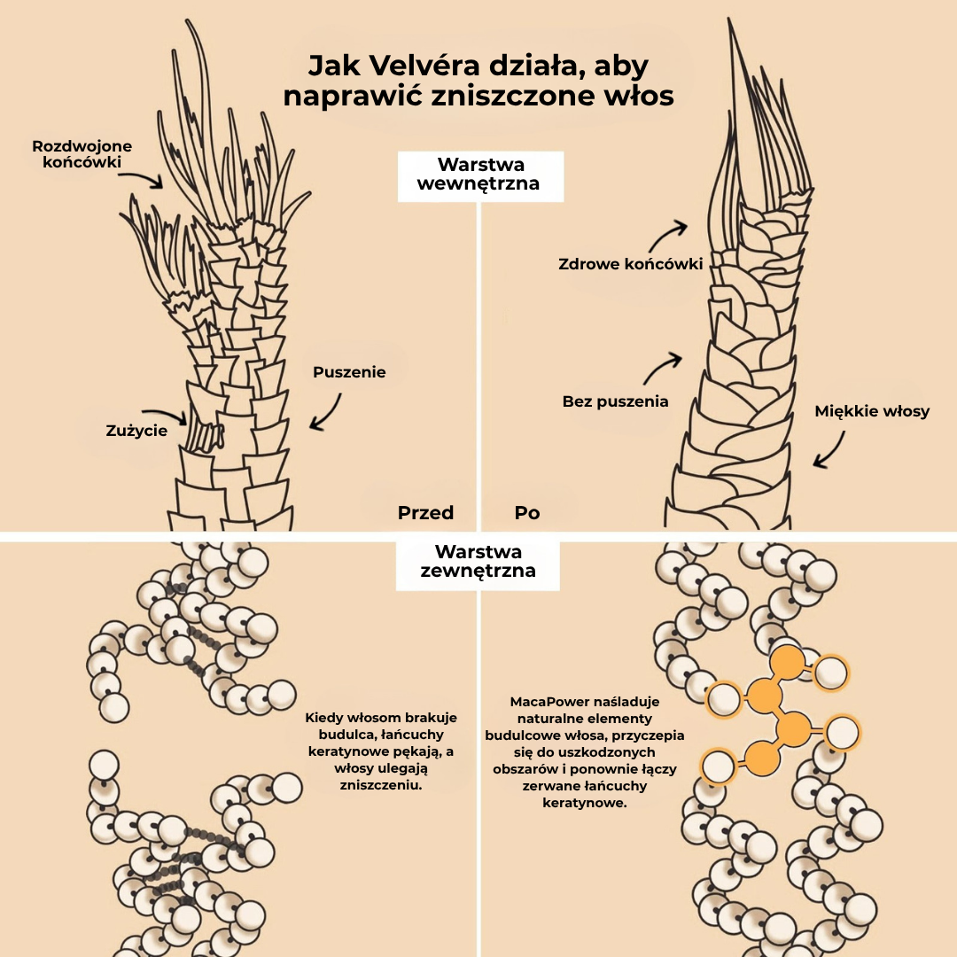 Velvéra™ | Klinicznie potwierdzona regeneracja zniszczonych włosów — poznaj przyszłość pielęgnacji włosów