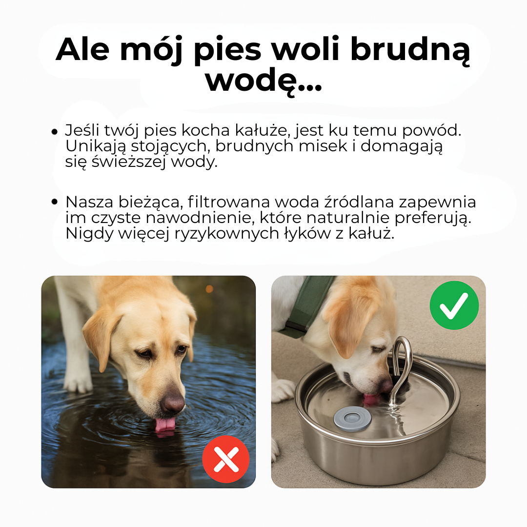 PetSip™ |💧 Ponad 1 000 psów nie może się mylić – najlepsze nawodnienie dla Twojego pupila!