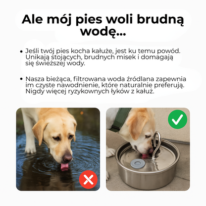PetSip™ |💧 Ponad 1 000 psów nie może się mylić – najlepsze nawodnienie dla Twojego pupila!