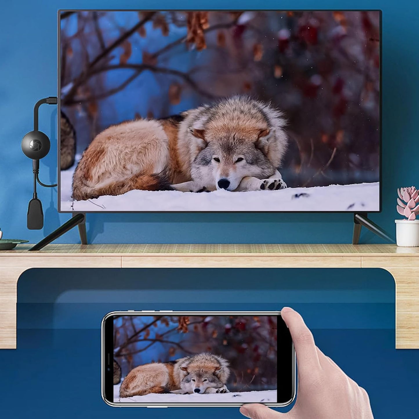 Castifi™ | Streamuj mądrzej, gdziekolwiek jesteś