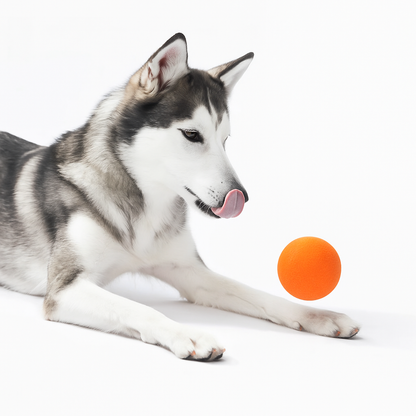 Rollo™ Inteligentna piłka do odbijania | Zadbaj o radość, aktywność i spokój swojego psa — nawet gdy Cię nie ma w pobliżu