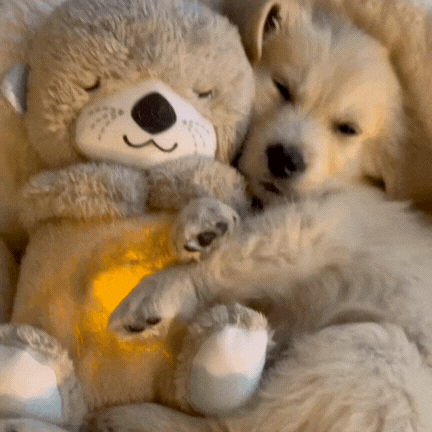 Calmi™ | Twój najlepszy kumpel, który zadba o Twój komfort