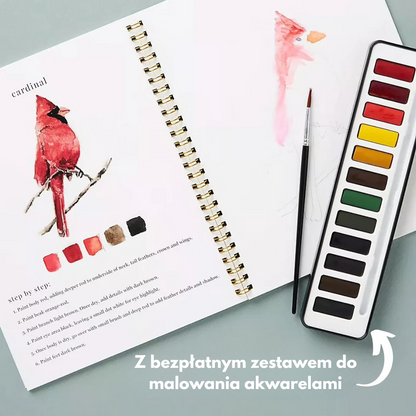 Kolory Wyobraźni | uwolnij swojego wewnętrznego artystę! 🎨