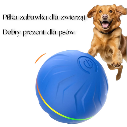 Rollo™ Inteligentna piłka do odbijania | Zadbaj o radość, aktywność i spokój swojego psa — nawet gdy Cię nie ma w pobliżu